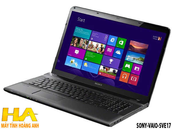 Sony-Vaio-SVE17