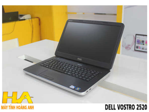 Dell Vostro 2520 - CH 2