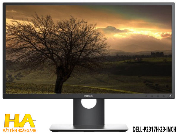 Màn hình Dell 23 Professional P2317H LED IPS