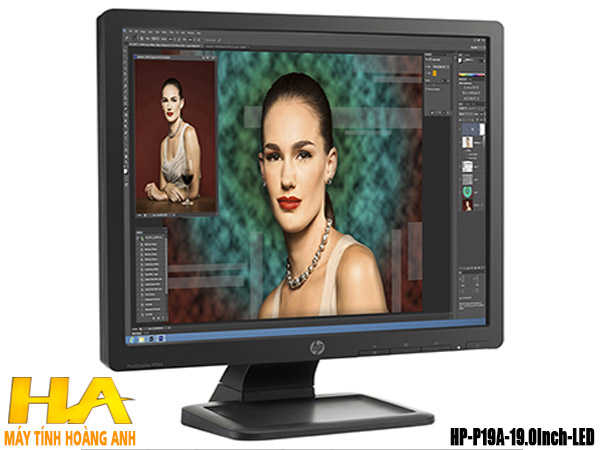 Màn hình HP P19A 19.0Inch LED